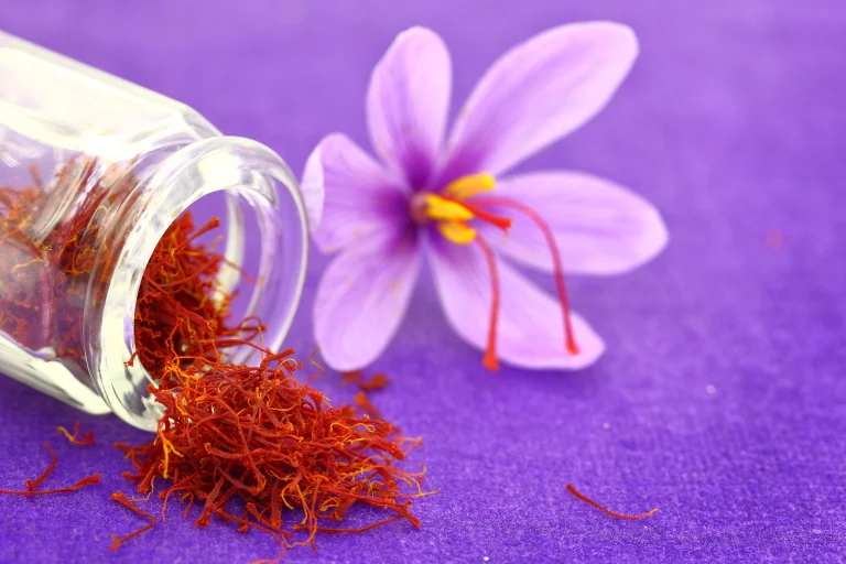 Pure Saffron (Zafran) in Pakistan